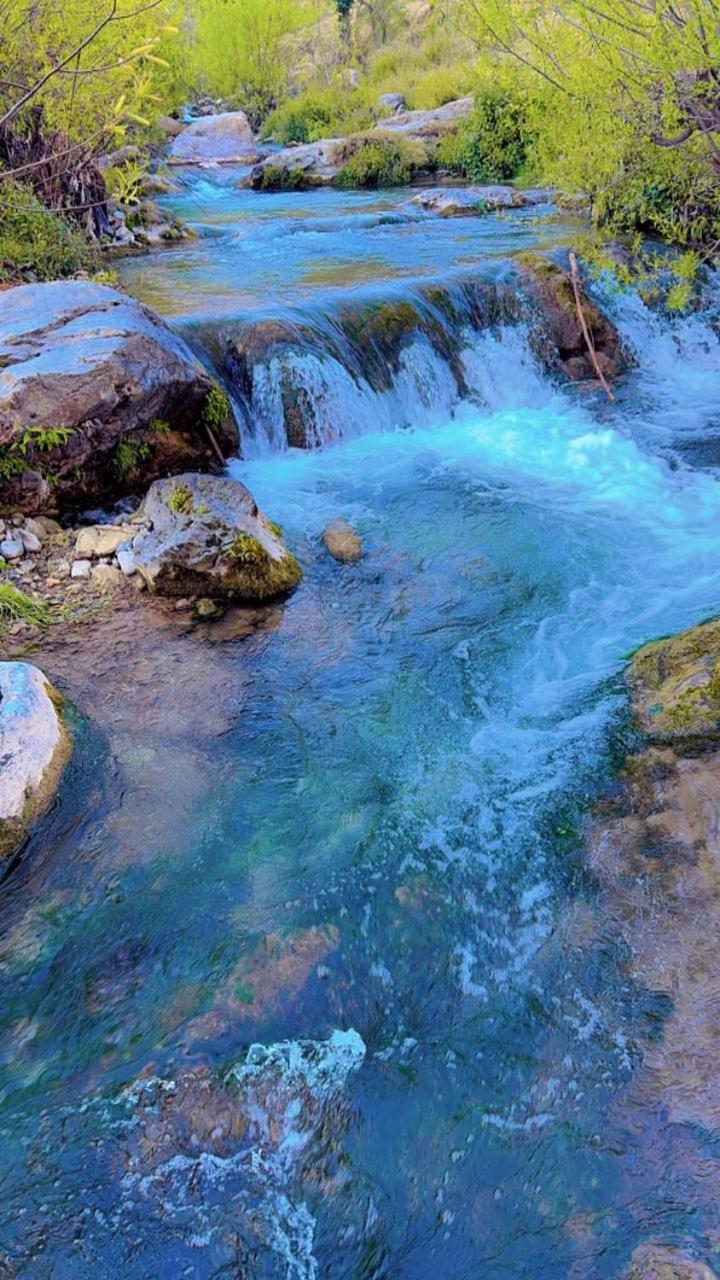 Rivulet Resort & Camping Mussoorie Kültér fotó