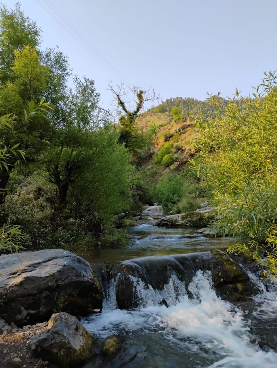 Rivulet Resort & Camping Mussoorie Kültér fotó