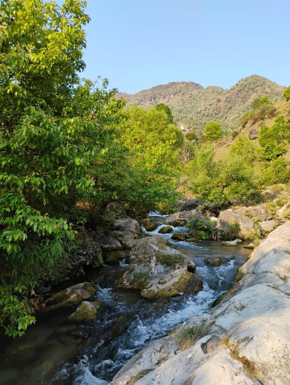 Rivulet Resort & Camping Mussoorie Kültér fotó
