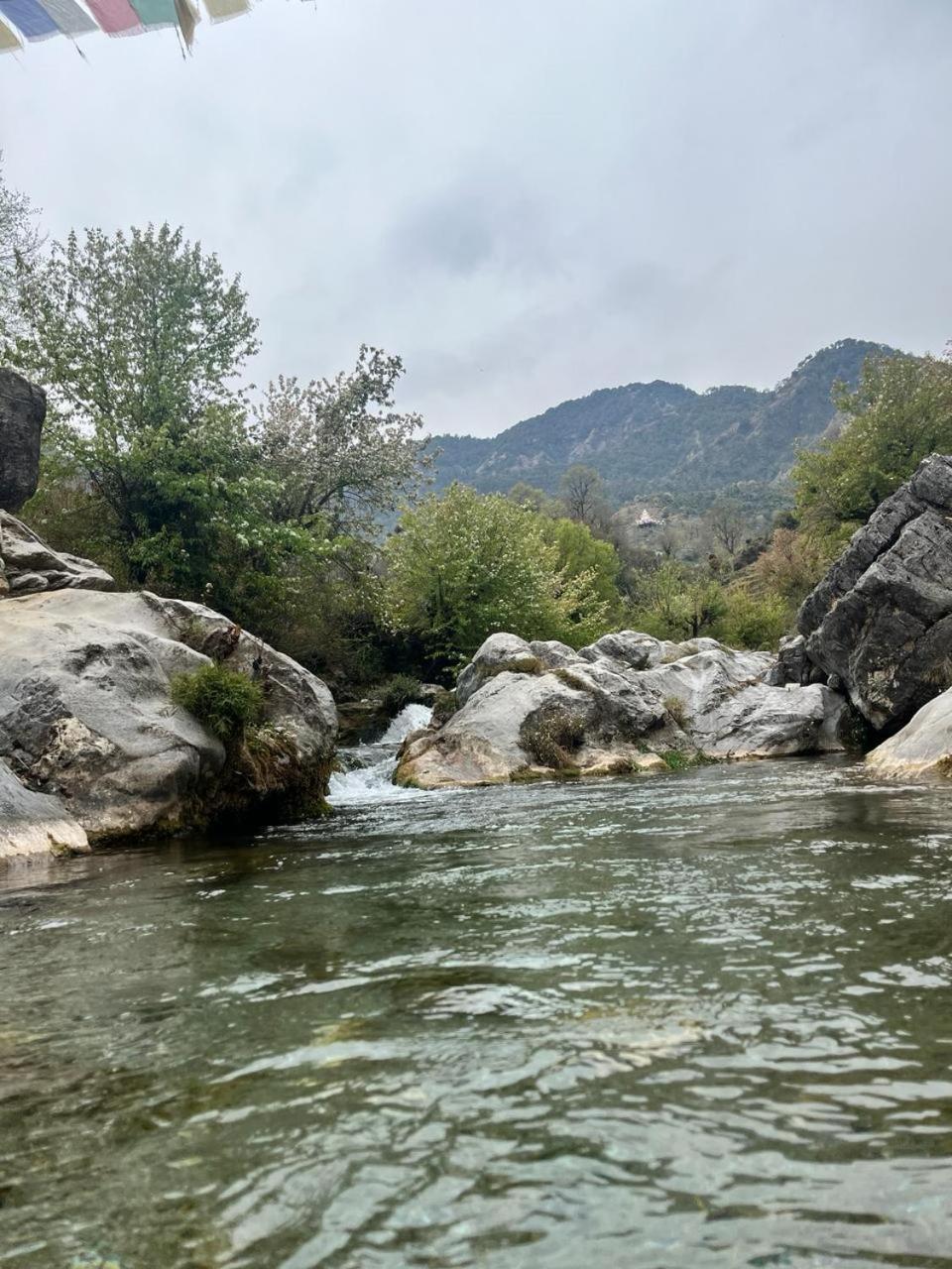 Rivulet Resort & Camping Mussoorie Kültér fotó